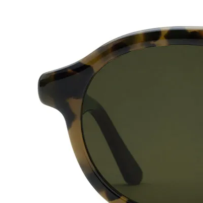 CAMERON | Tortuga Polarized