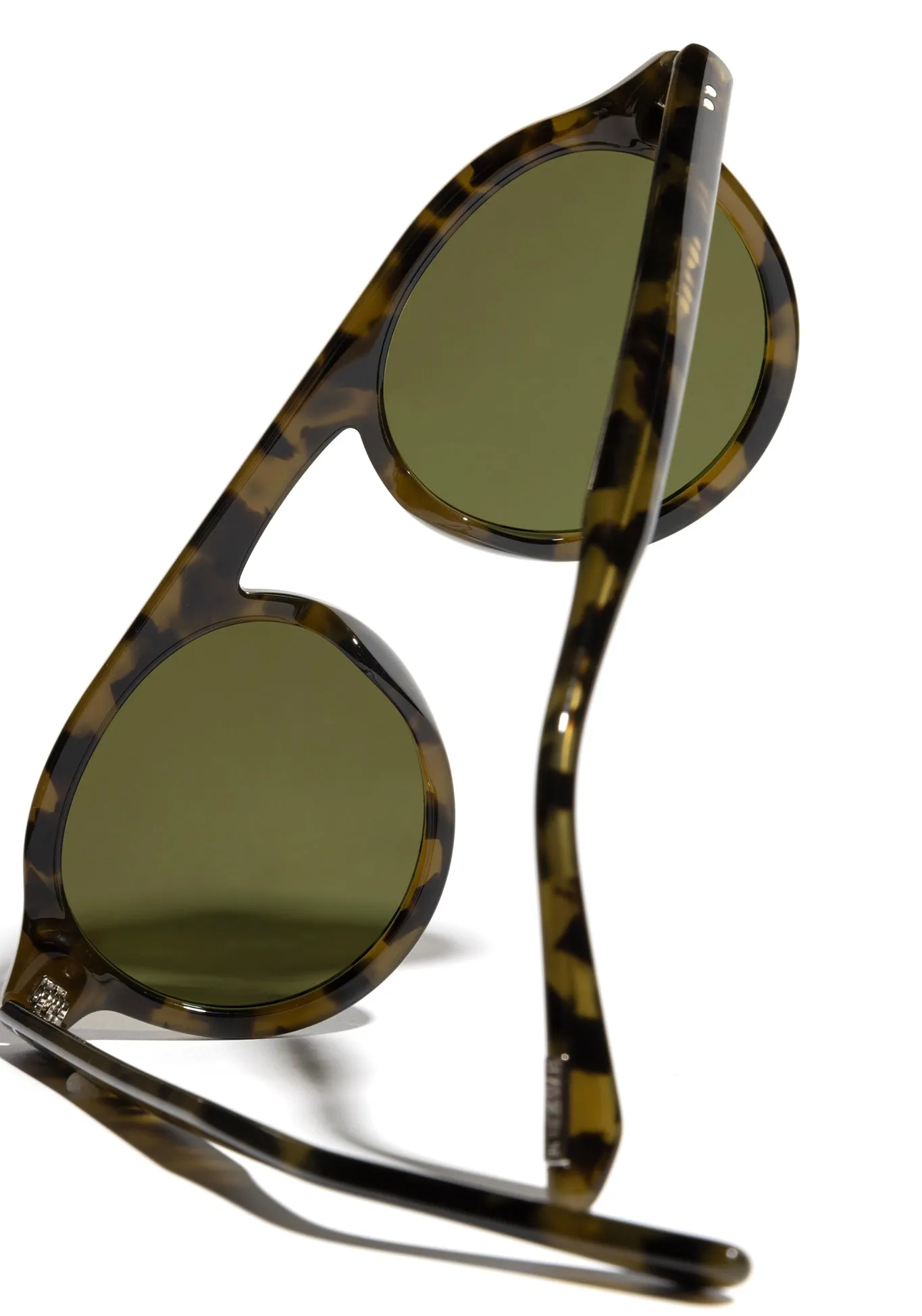 CAMERON | Tortuga Polarized