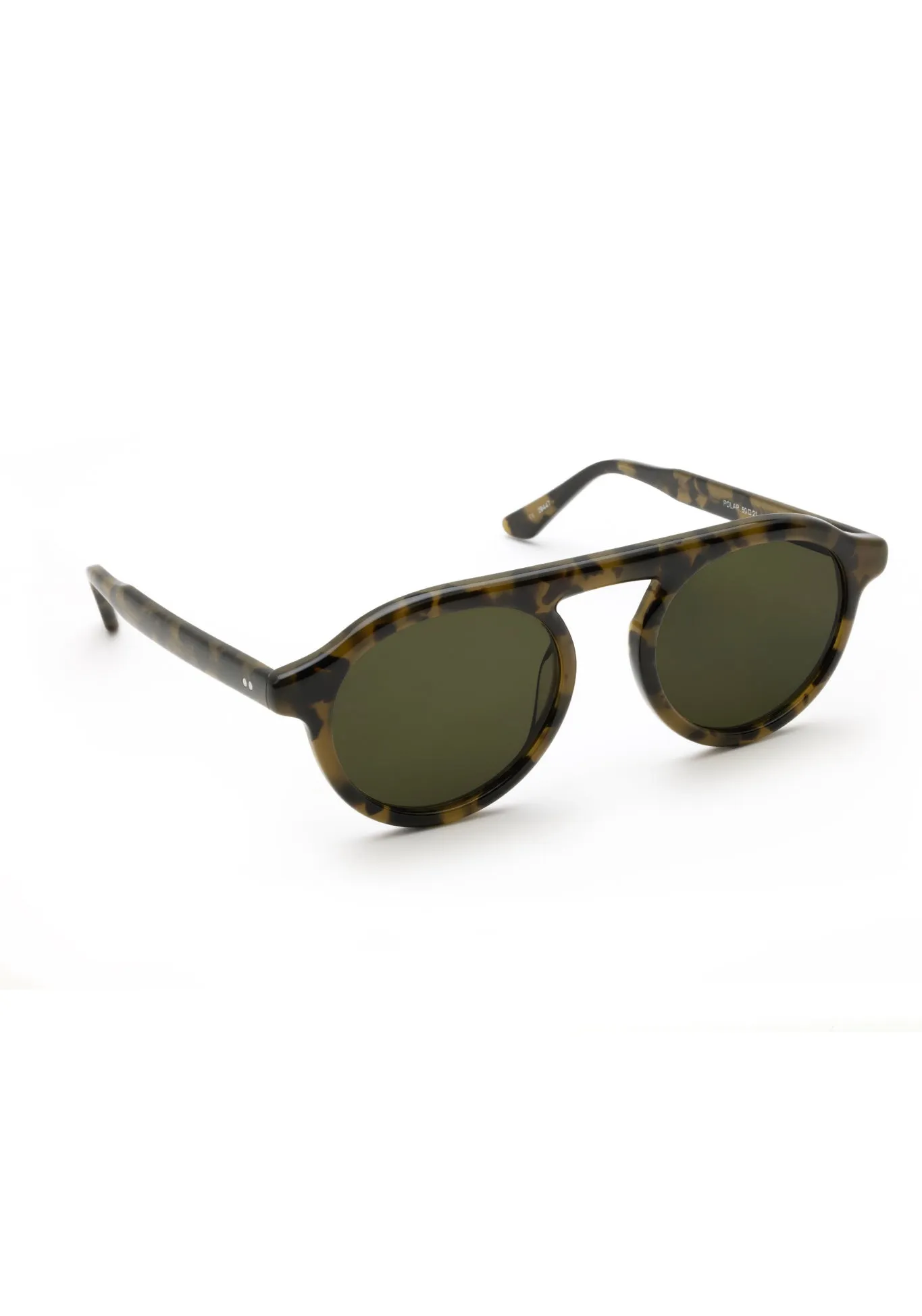 CAMERON | Tortuga Polarized