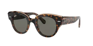 Ray-Ban Roundabout Non-Polarized Sunglasses - Havana on Transparent Brown/Dark Gray