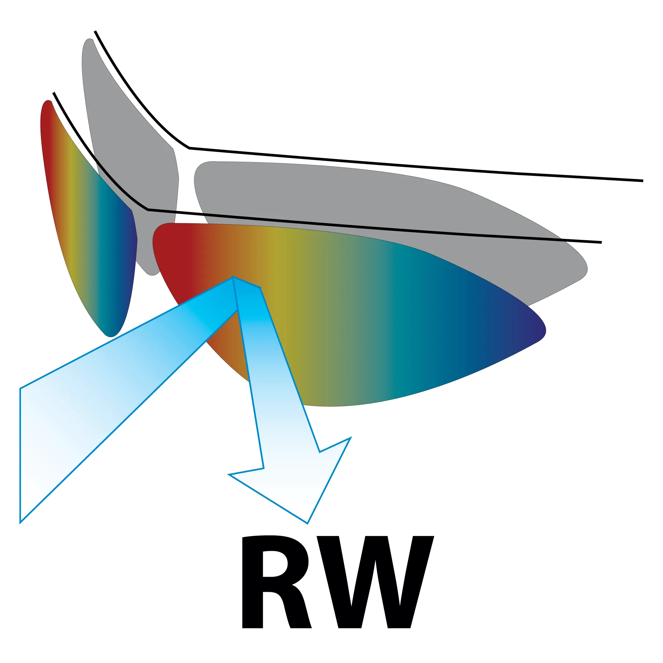 Salice 011 RWP Mirror Polarised Black ITA