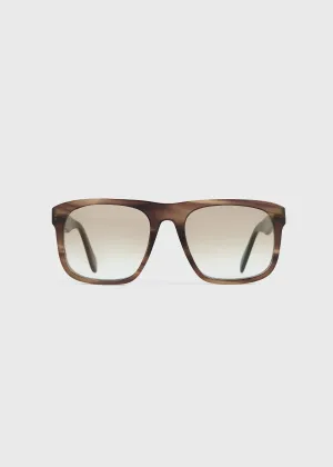 The Navigators sunglasses bark