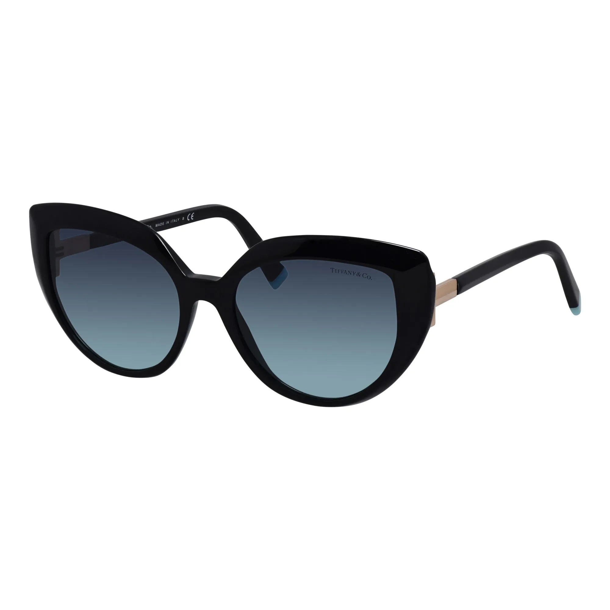 Tiffany & Co. Womens Black Sunglasses TF_4170_80019S